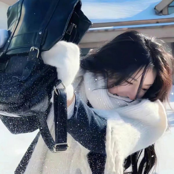 大内密探王二狗